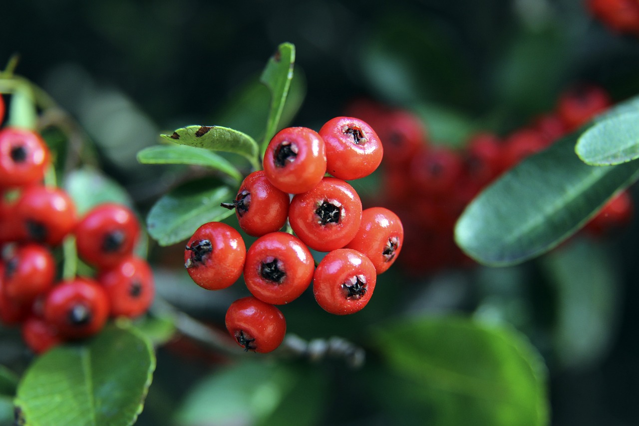 整个足球界 整个足球界