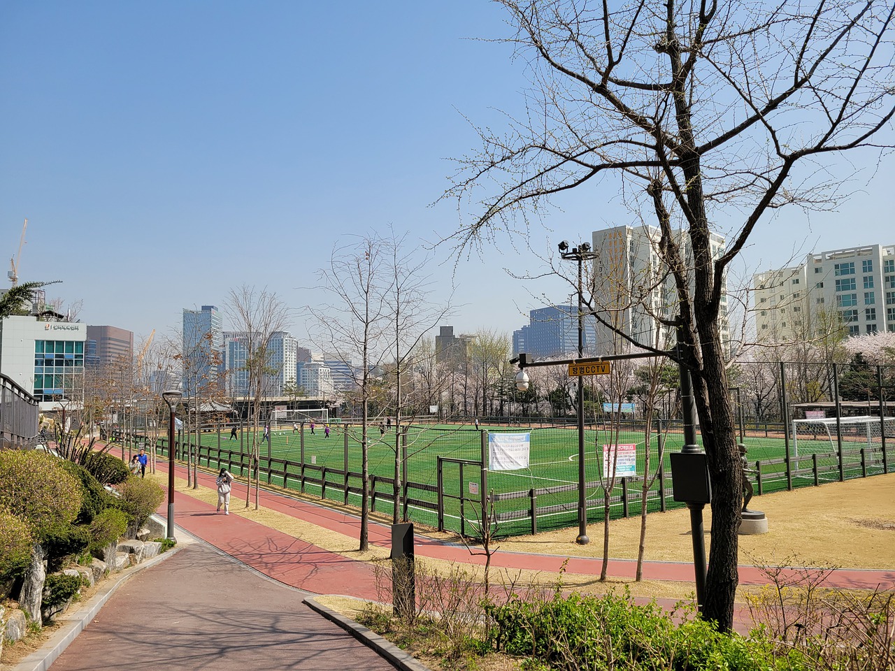 巩固了其在 巩固了其在