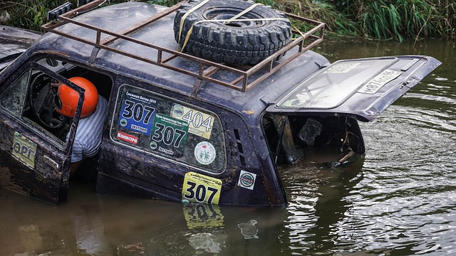 功于雄厚的 功于雄厚的